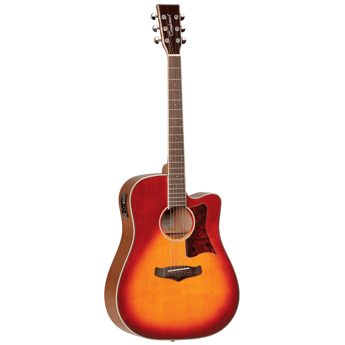Acoustic/Electric Guitars Tanglewood Guitars GIG Guitars