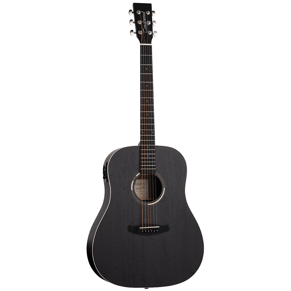 Acoustic/Electric Guitars Tanglewood Guitars GIG Guitars