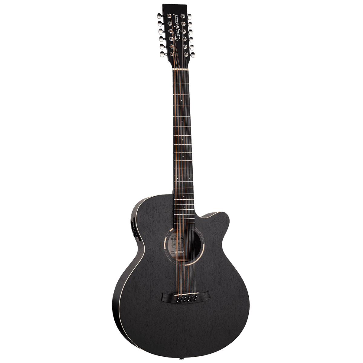 Acoustic/Electric Guitars Tanglewood Guitars GIG Guitars
