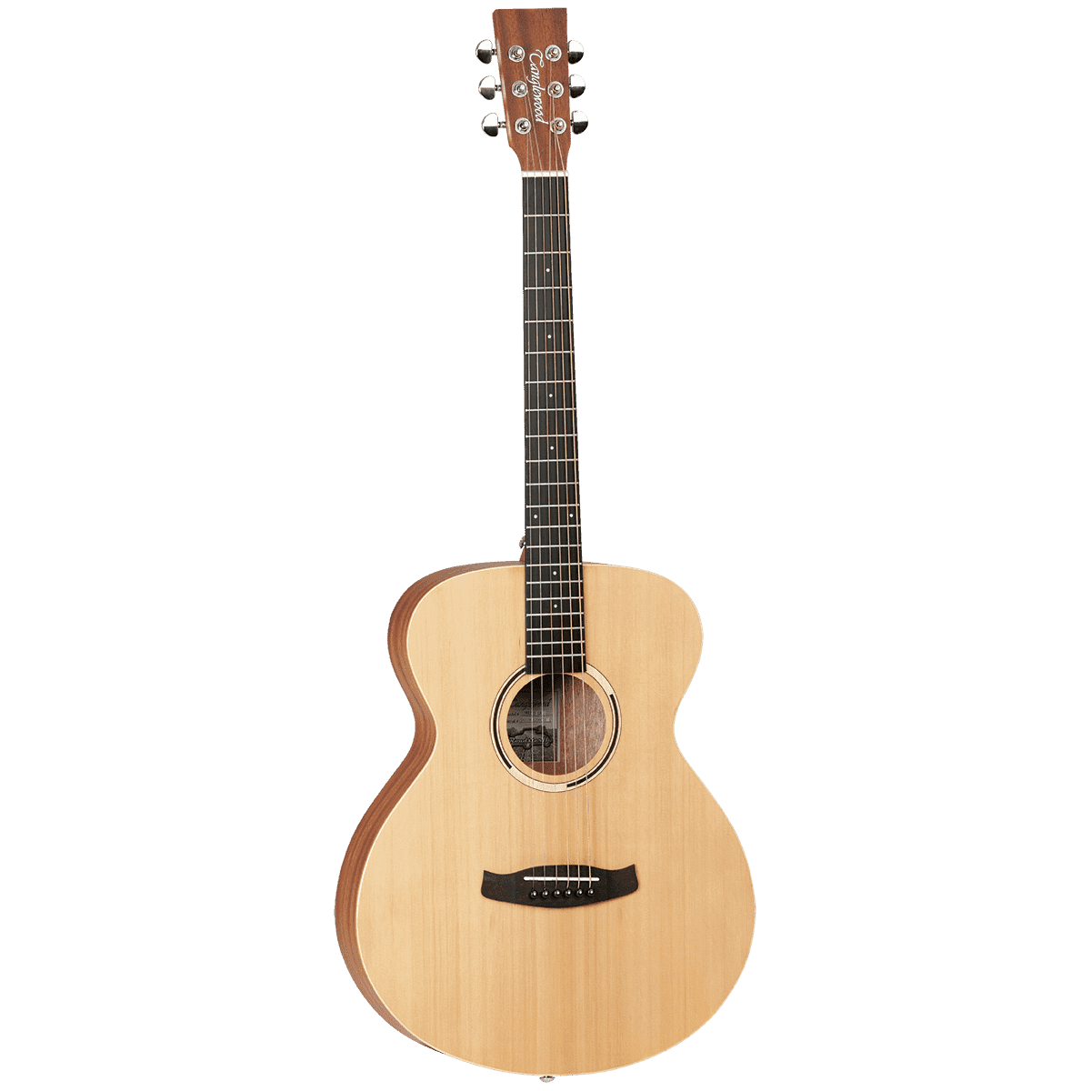 Acoustic/Electric Guitars Tanglewood Guitars GIG Guitars