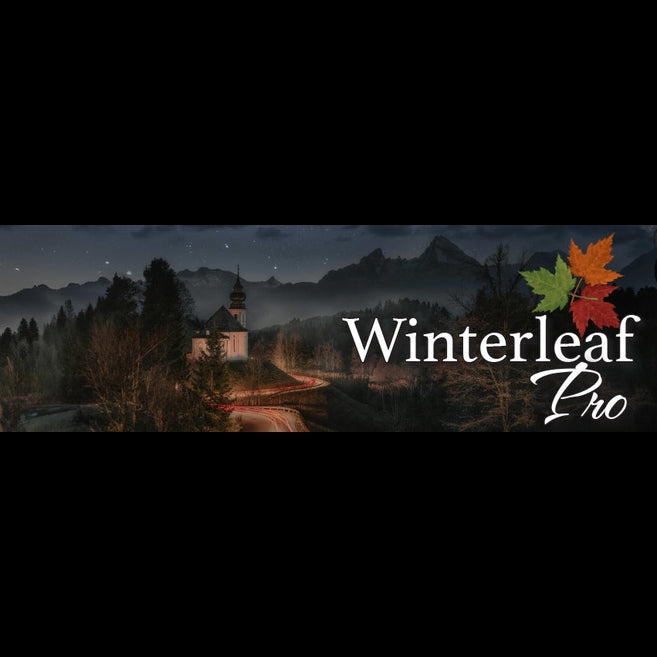 Tanglewood Winterleaf Pro Super Folk C/E Acoustic Guitar Tanglewood Guitars Acoustic Guitars