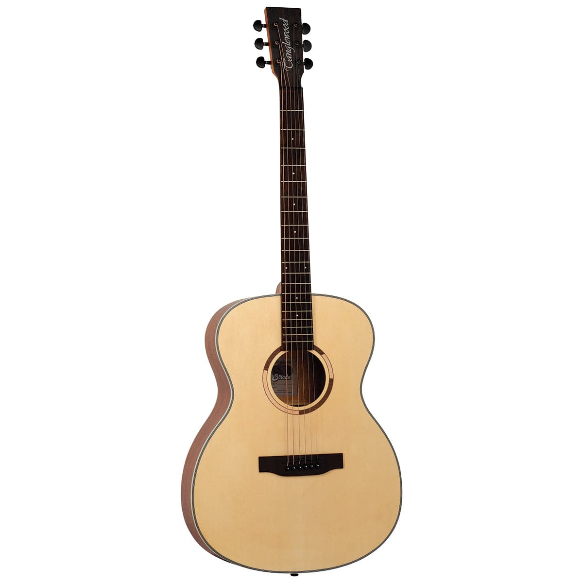 Acoustic Guitars Tanglewood Guitars GIG Guitars