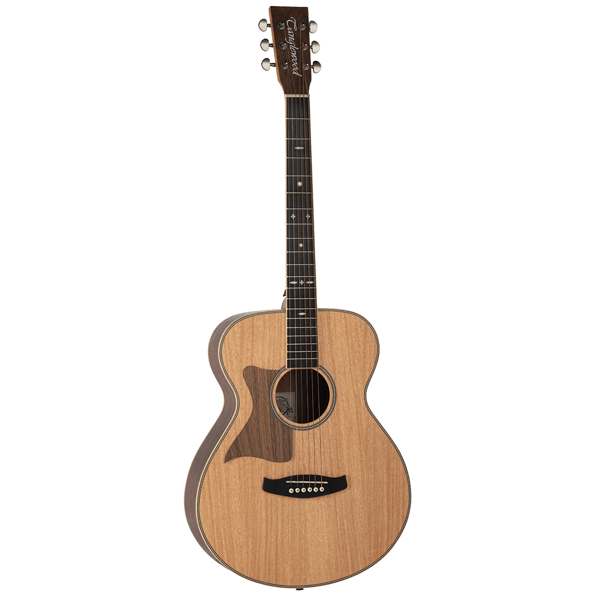 Acoustic Guitars Tanglewood Guitars GIG Guitars