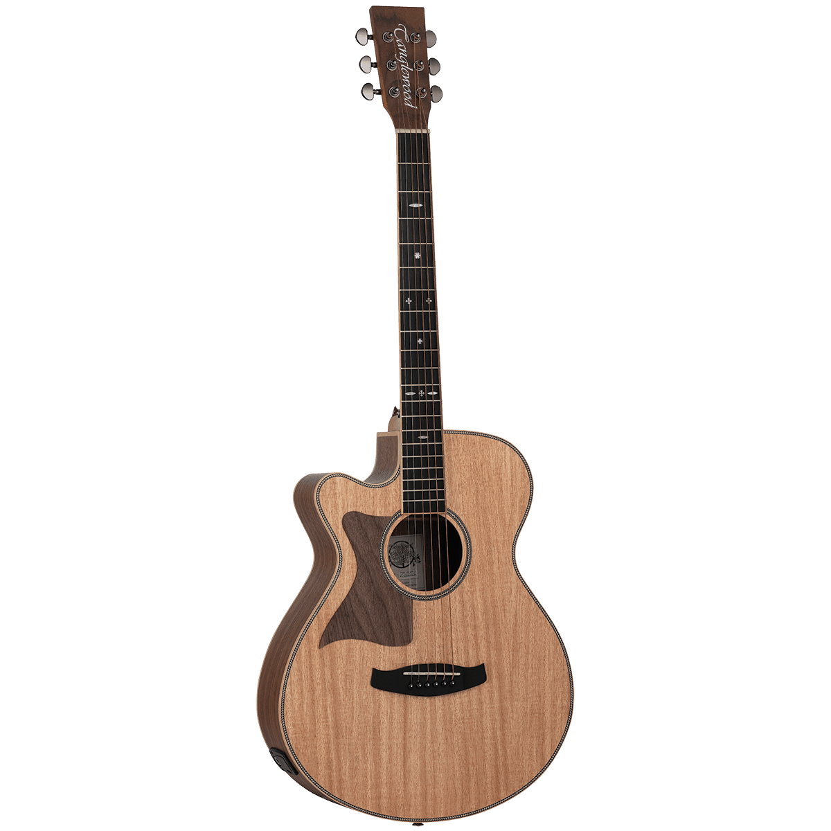 Guitar Tanglewood Guitars GIG Guitars