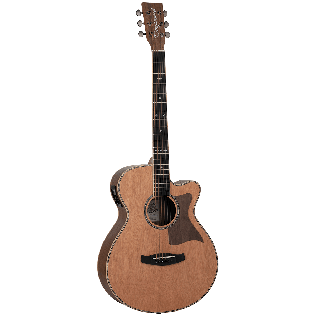 Tanglewood Reunion Pro Solid Australian Red Cedar Top Super Folk C/E with Black Walnut B/S TRU4-CE-BW
