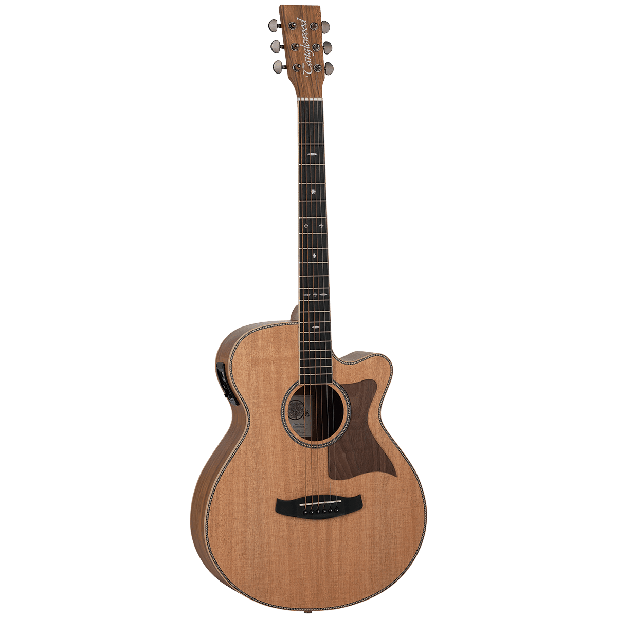 Guitar Tanglewood Guitars GIG Guitars