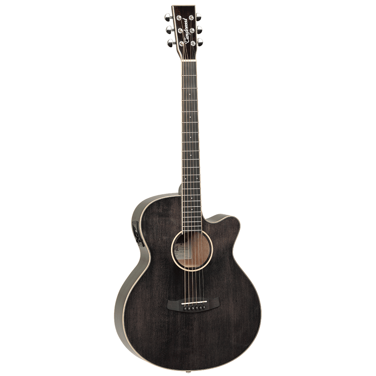 Tanglewood TW4BS Winterleaf Super Folk C/E Black Shadow