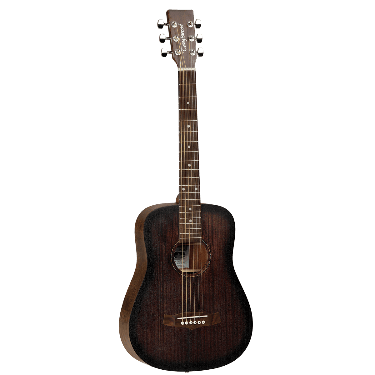 Tanglewood TWCRT Crossroads Traveller Acoustic Guitar