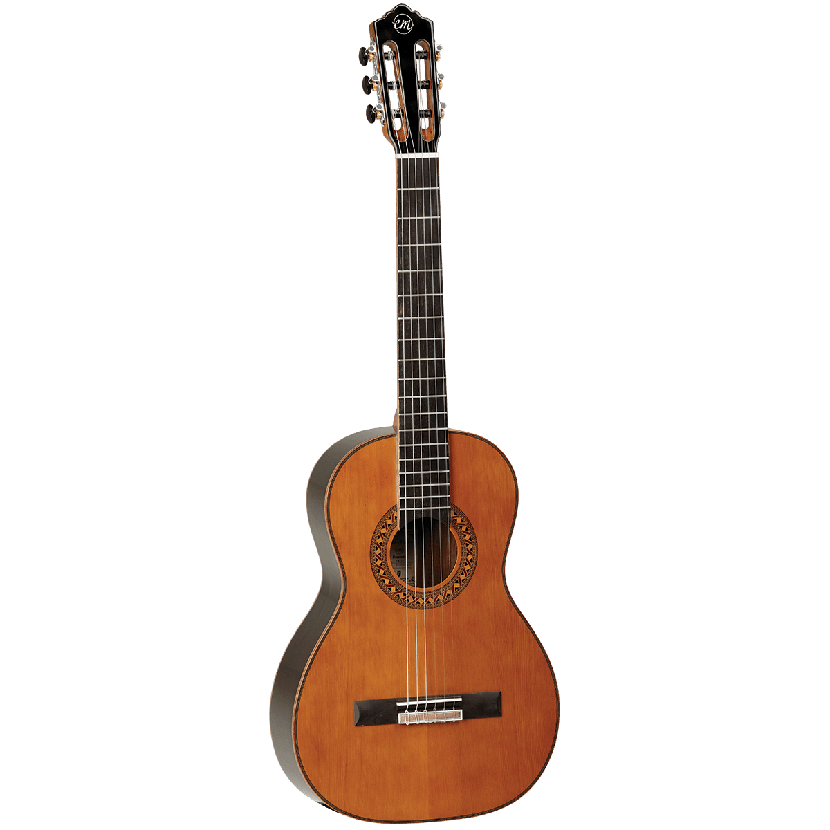 Guitar Tanglewood Guitars GIG Guitars