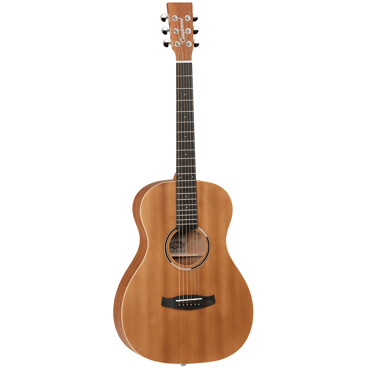 Guitar Tanglewood Guitars GIG Guitars