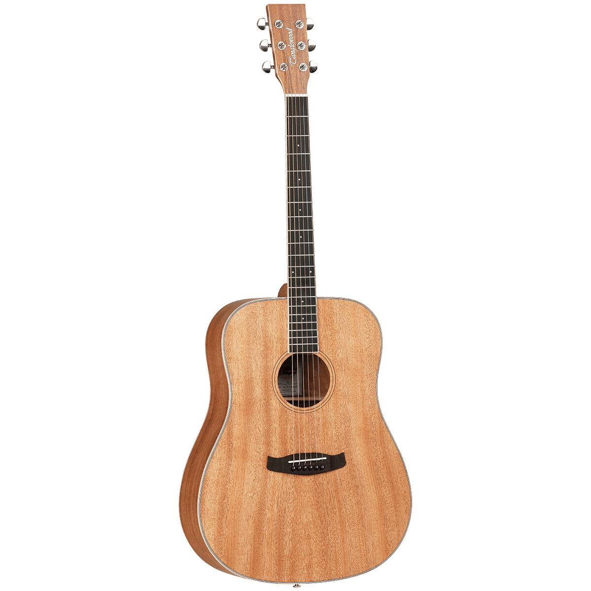 Tanglewood TWUD Union Dreadnought Solid Top Acoustic
