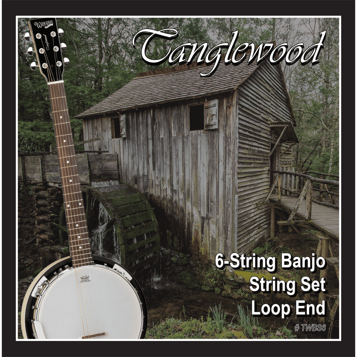Tanglewood TWBS6 Banjo 6-String Set - Loop End Tanglewood Folk Strings