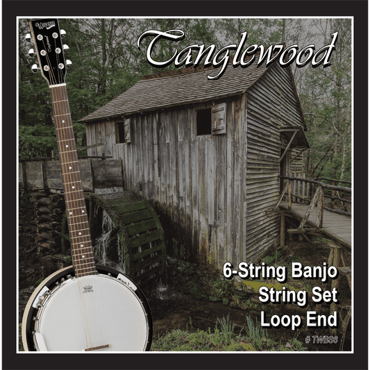 Tanglewood TWBS6 Banjo 6-String Set - Loop End Tanglewood Folk Strings