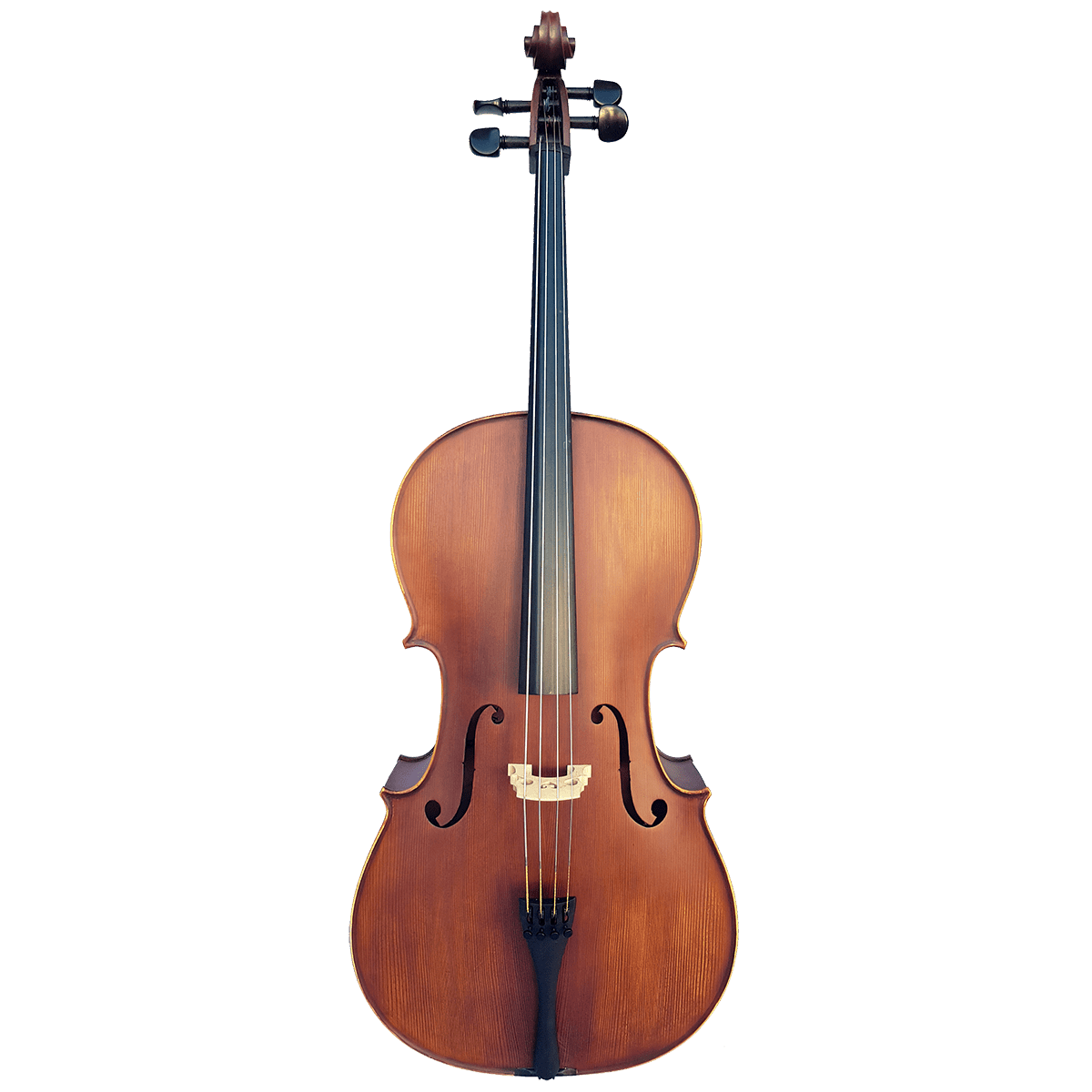 Vivo Elite Cello 4/4 Outfit - Setup Vivo Violins Cello