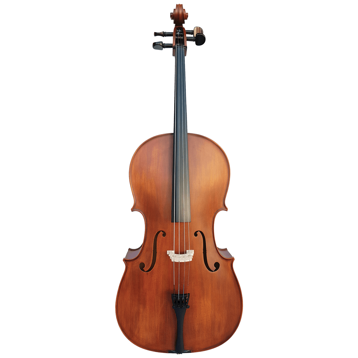 Vivo Student 1/2 Cello Outfit with Case Vivo Violins Cello