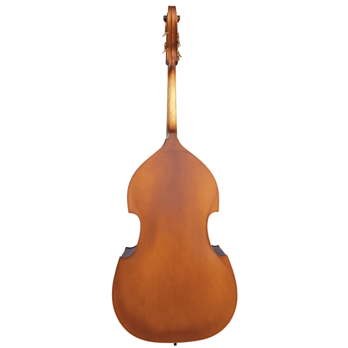 Double Bass Vivo Violins GIG Guitars
