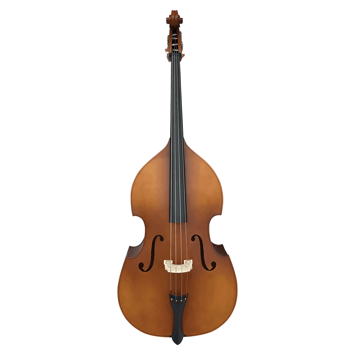 Double Bass Vivo Violins GIG Guitars