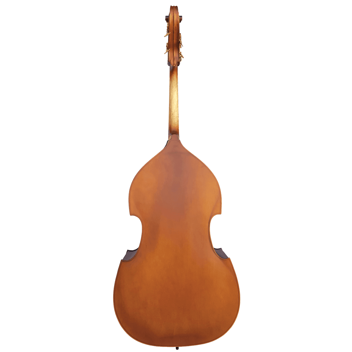Double Bass Vivo Violins GIG Guitars