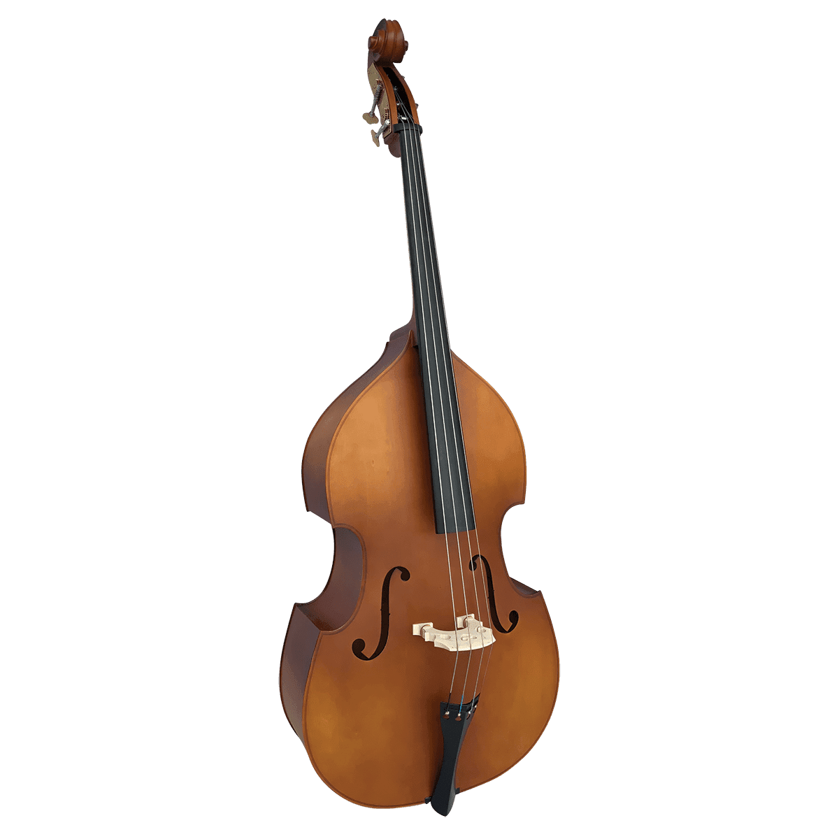 Double Bass Vivo Violins GIG Guitars