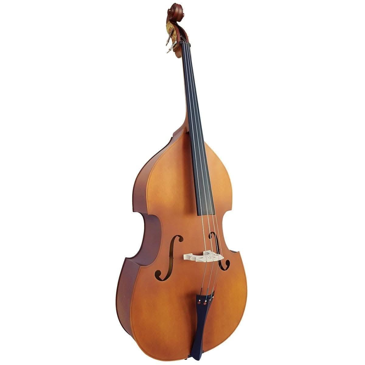 Double Bass Vivo Violins GIG Guitars