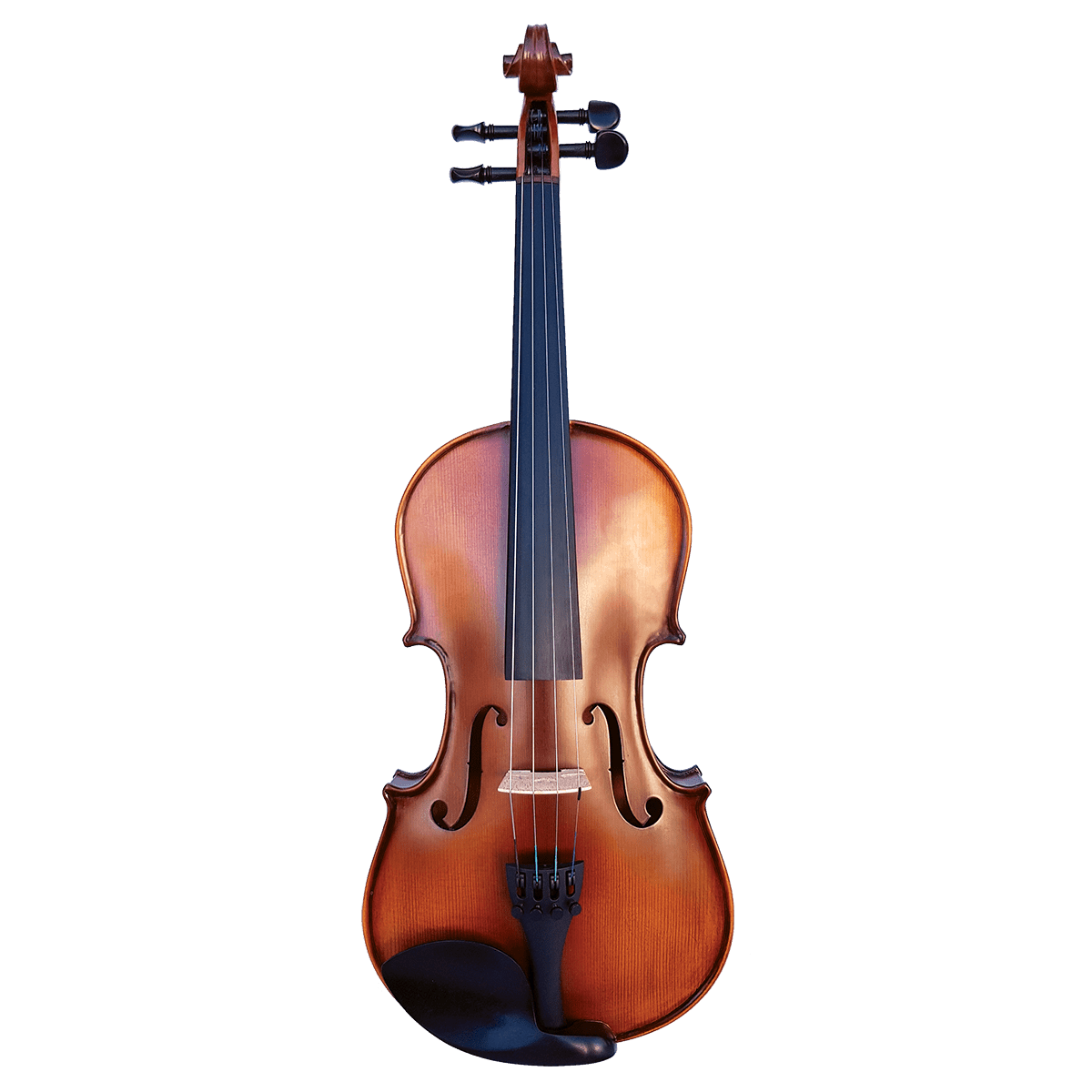 Viola Vivo Violins GIG Guitars