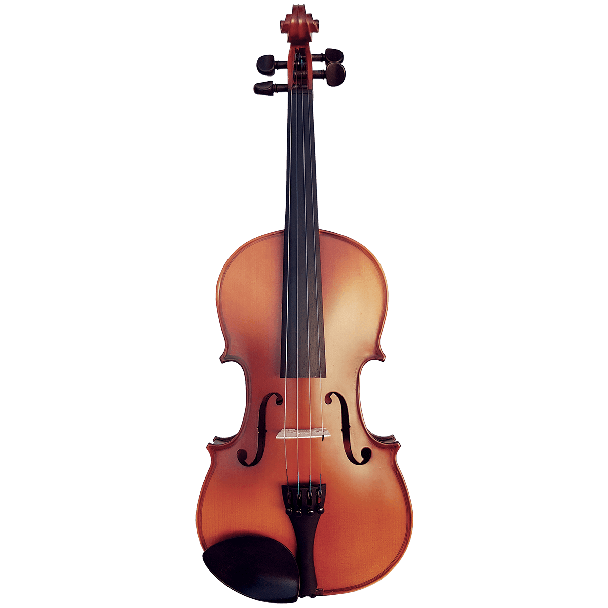 Vivo Neo 14" Student Viola Outfit - Setup Vivo Violins Viola