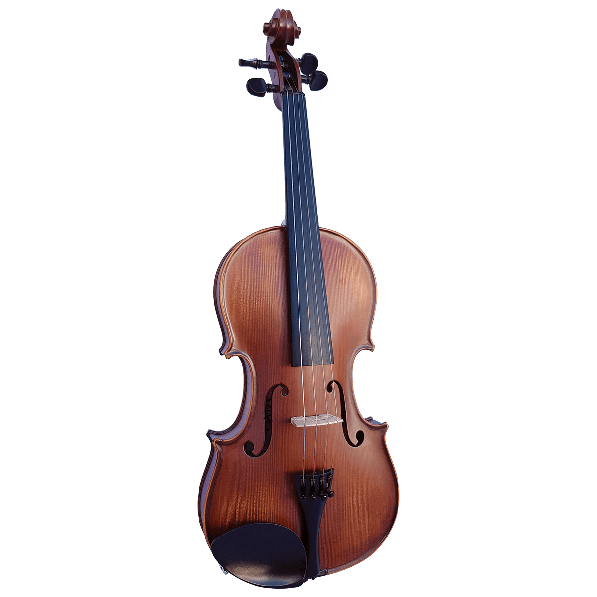 Violin Vivo Violins GIG Guitars