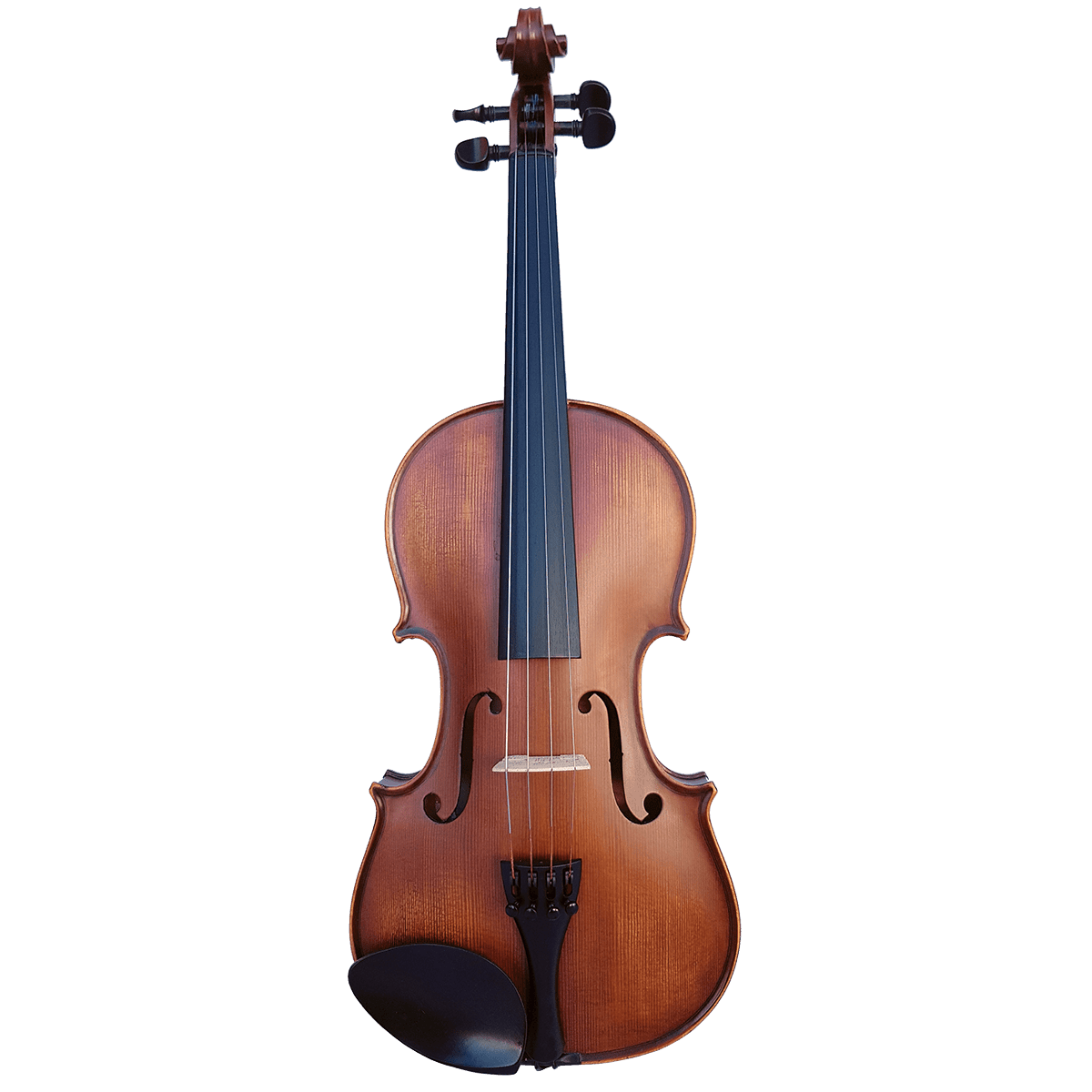 Violin Vivo Violins GIG Guitars