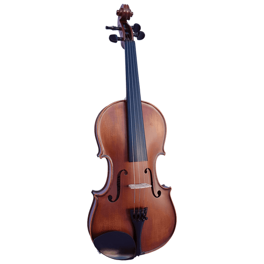 Vivo Elite 4/4 Violin Outfit Vivo Violins Violin