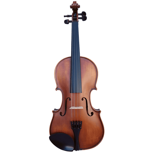 Vivo Elite 4/4 Violin Outfit Vivo Violins Violin