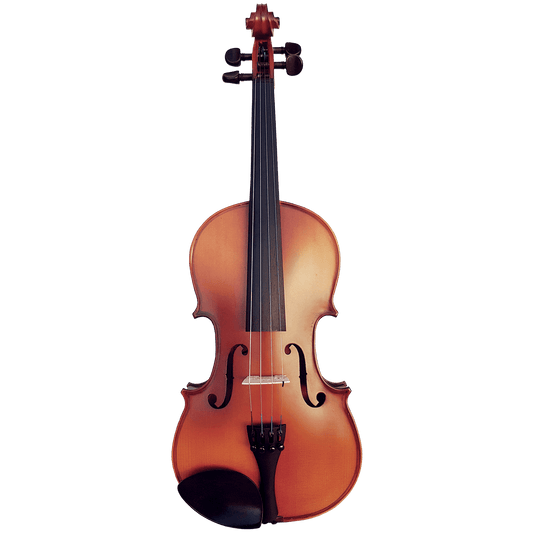 Vivo Neo 1/8 Student Violin Outfit - Setup Vivo Violins Violin