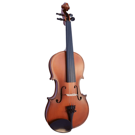Vivo Neo Plus Student 1/2 Violin Outfit - Setup Vivo Violins Violin