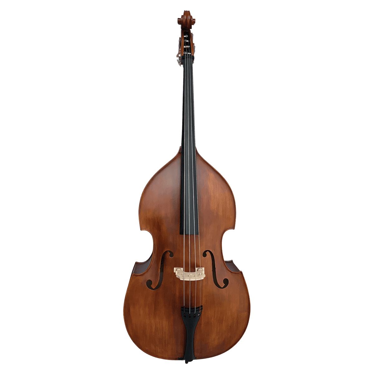 Double Bass Vivo Violins GIG Guitars
