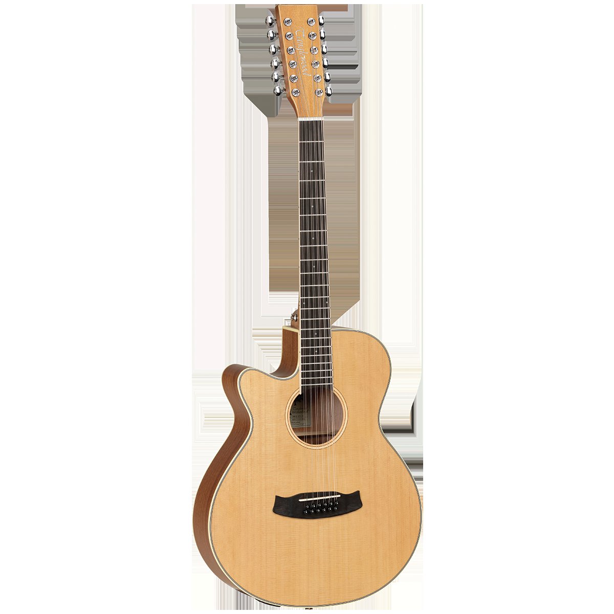 Left Handed Acoustic Electric Guitars