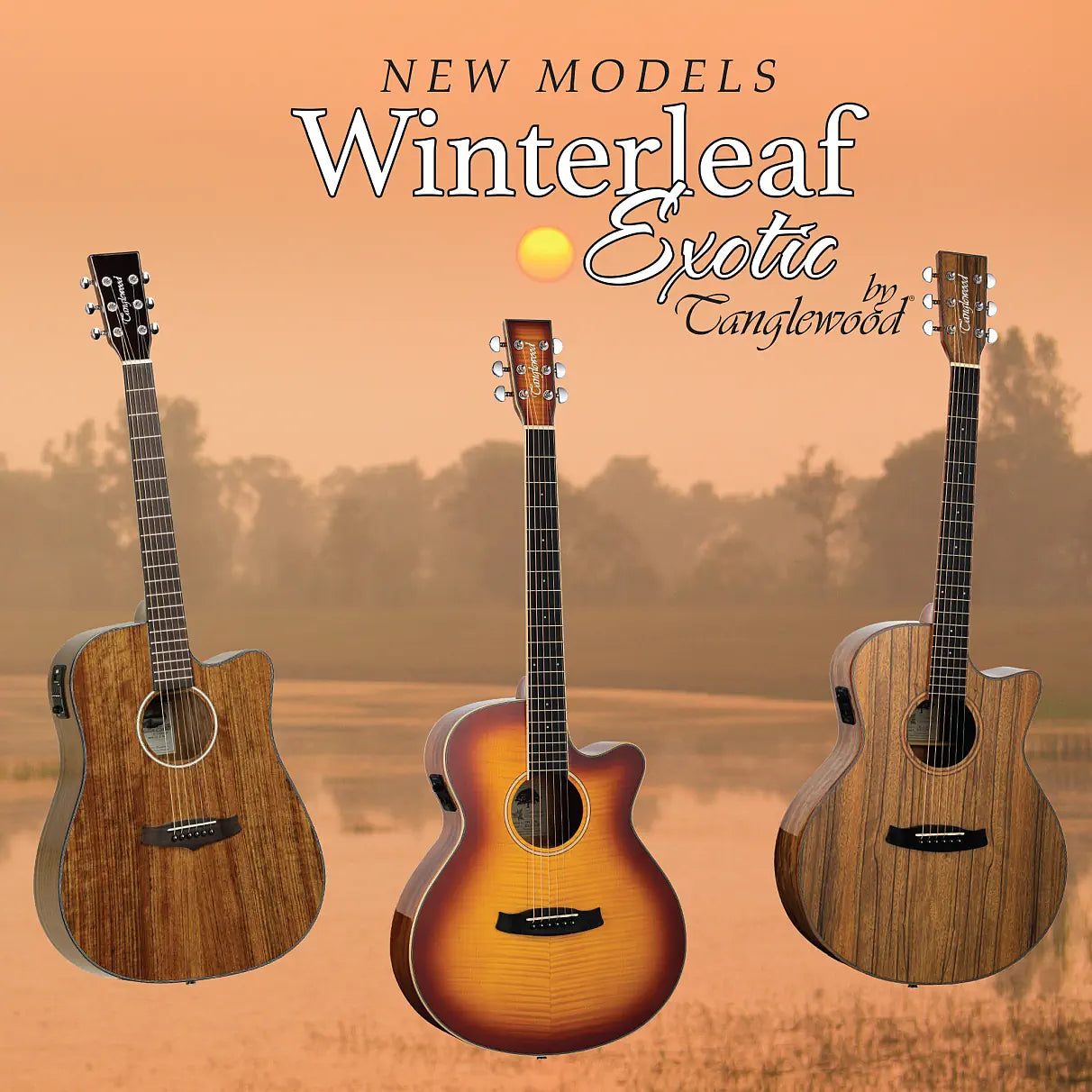 Tanglewood Winterleaf Acoustic Guitars