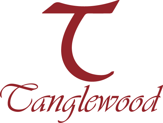 Tanglewood Guitars Top 10  Models