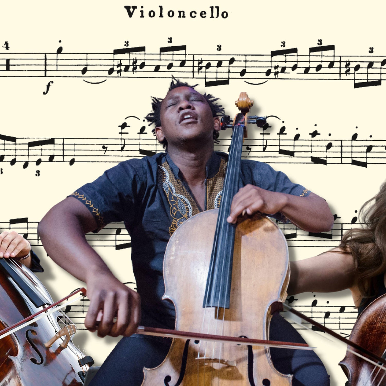 Stringed Instruments