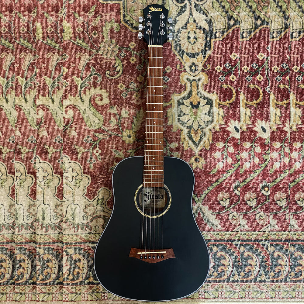 Aria Fiesta Series Traveller Acoustic Guitar in Black Matte Finish