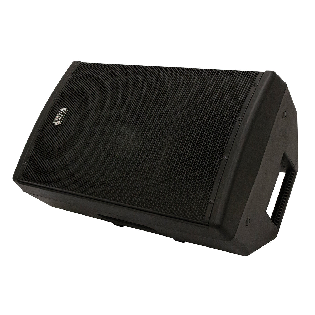 Italian Stage 15" bi-active two way speaker with Media Player