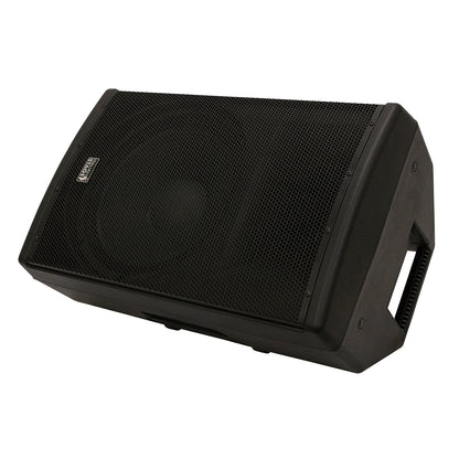 Italian Stage 15" bi-active two way speaker with Media Player