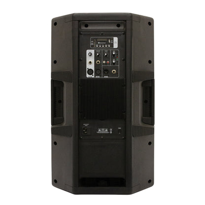 Italian Stage 15" bi-active two way speaker with Media Player