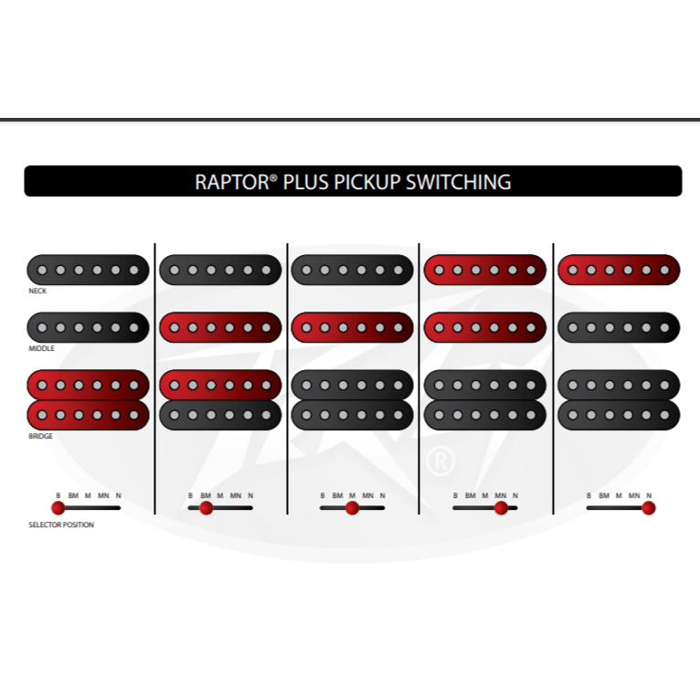 Peavey Raptor Plus Pickup Switching