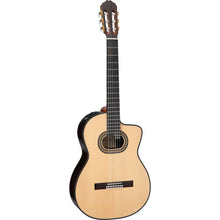 Takamine Classical Guitar Classical Case, Classical Guitar, Classical Guitar Bag, Made In Japan 1