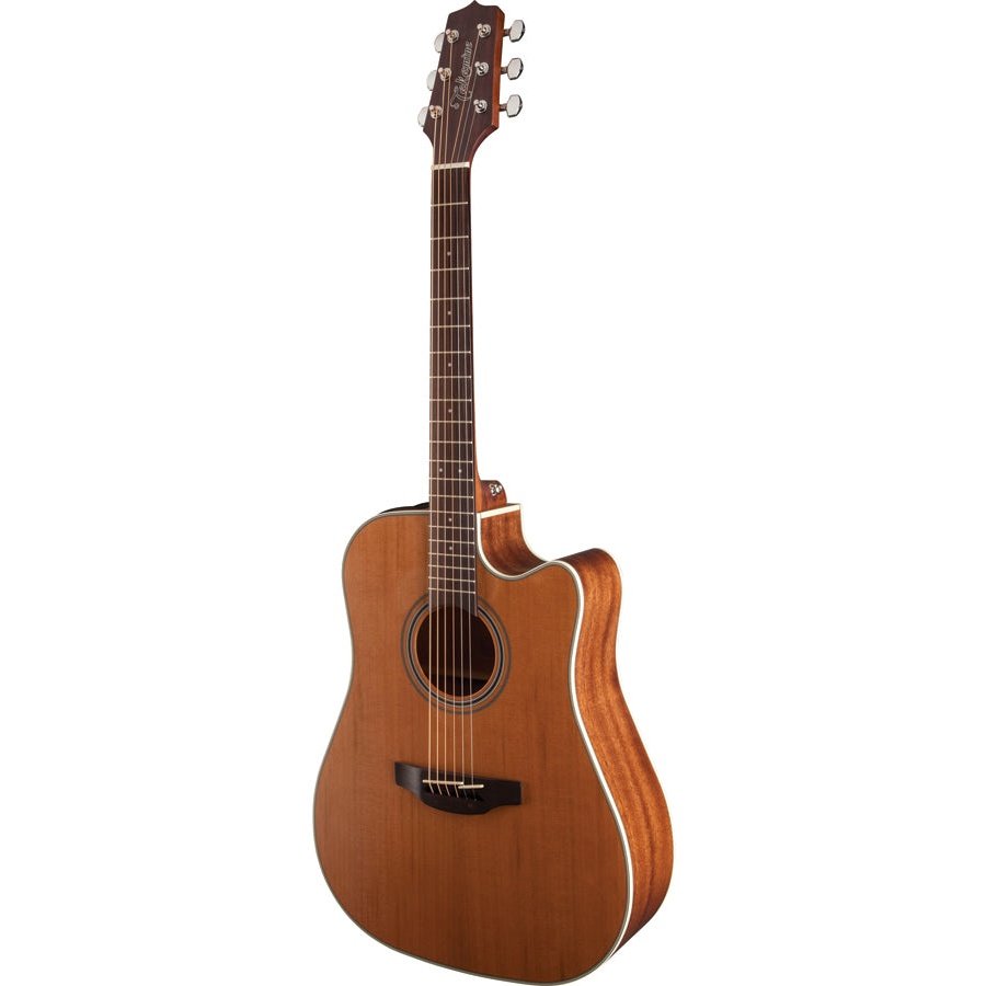 Takamine G20 Series Dreadnought AC/EL Guitar with Cutaway in Natural Satin Finish