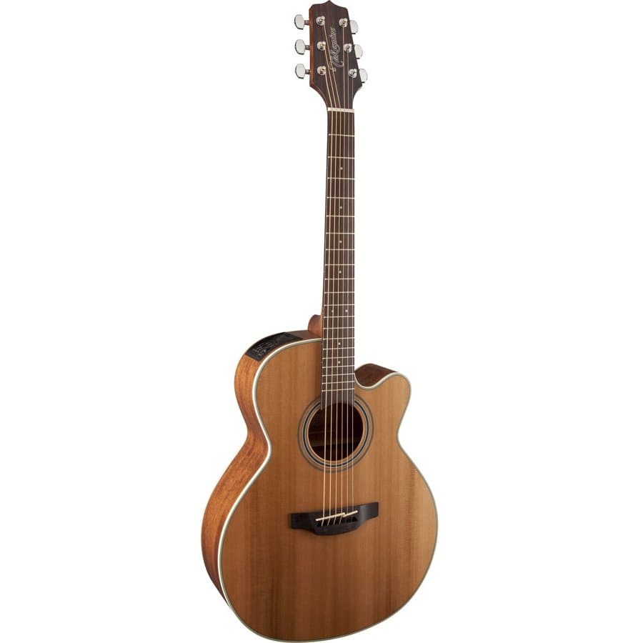 Takamine G20 Series NEX AC/EL Guitar with Cutaway in Natural Satin Finish - GIG Guitars