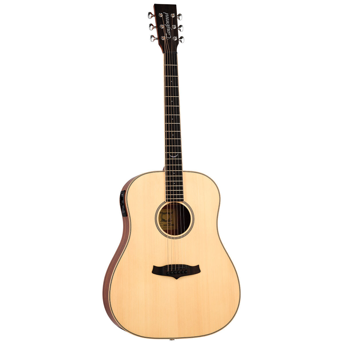 Tanglewood Premier Sloped Shoulder Dreadnought C/E w/Case