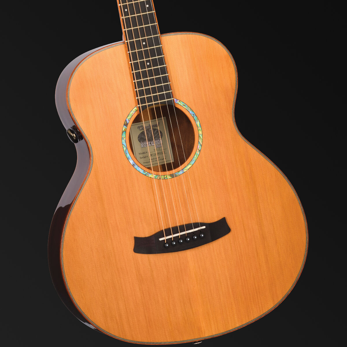 Tanglewood Rosewood Smart Mini Folk Acoustic/Electric – TRS1-E