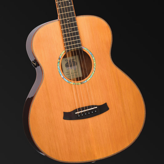 Tanglewood Rosewood Smart Mini Folk Acoustic/Electric – TRS1-E