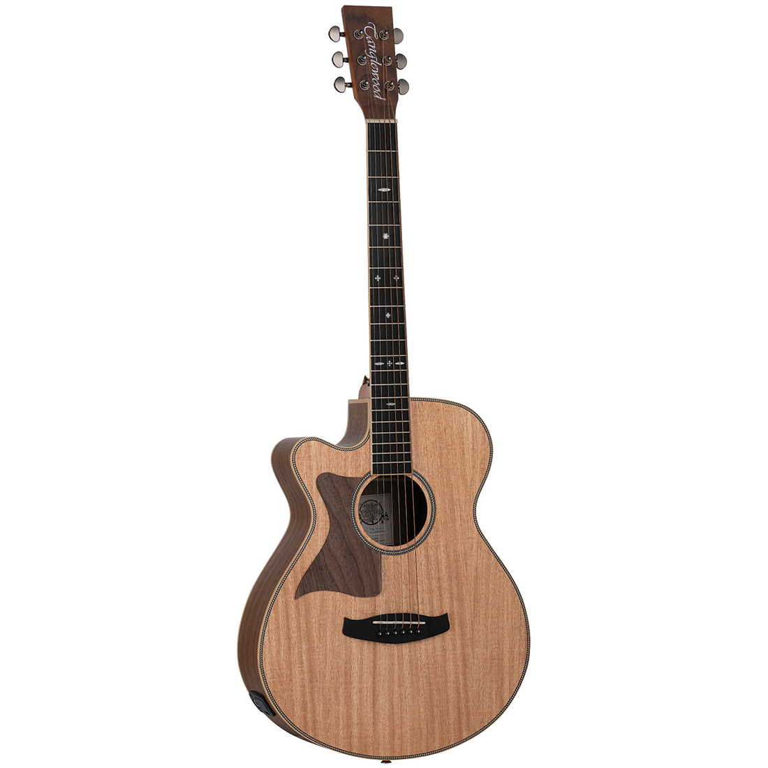 Tanglewood Reunion Pro Solid Australian Red Cedar Top Super Folk C/E with Black Walnut B/S Left Handed TRU4-CE-BW-LH - GIG Guitars