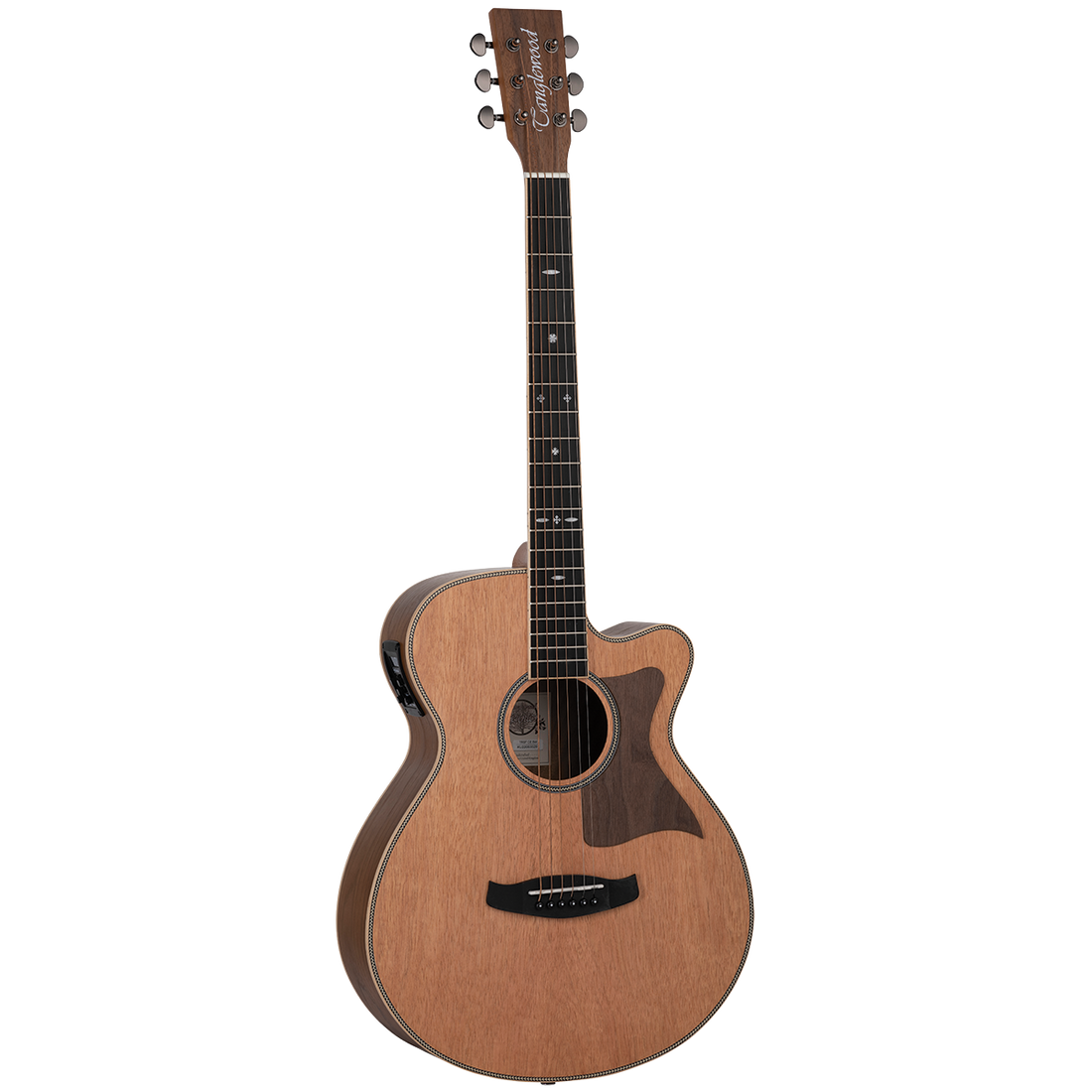 Tanglewood Reunion Pro Solid Australian Red Cedar Top Super Folk C/E with Black Walnut B/S TRU4-CE-BW - GIG Guitars